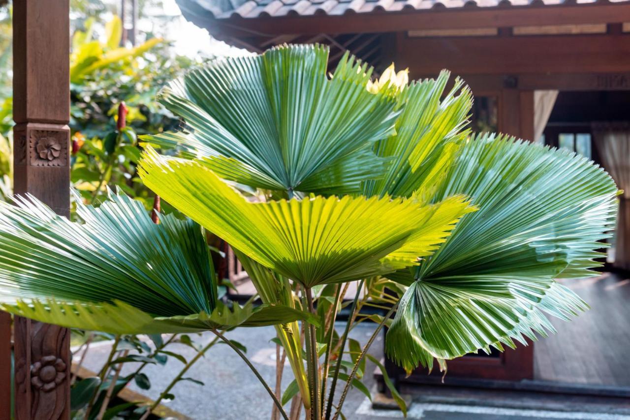 Villa Waturenggong Ubud 外观 照片